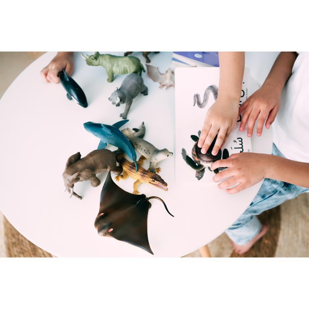 Dardasha - Ocean Animals Book