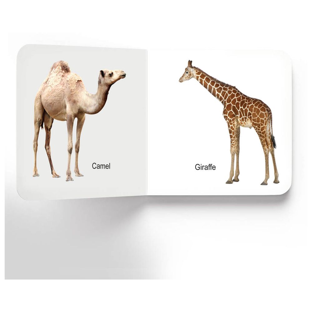Lovely Board Books - Animals