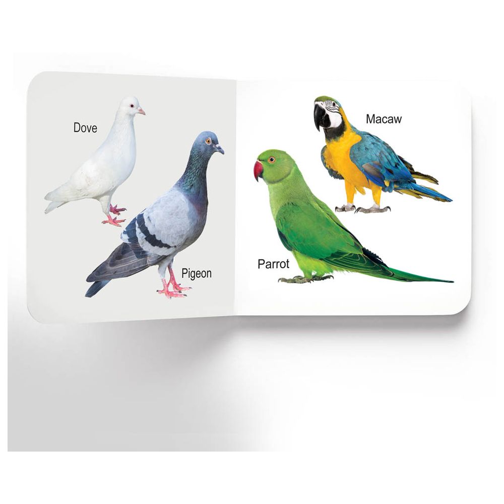 Lovely Board Books - Birds