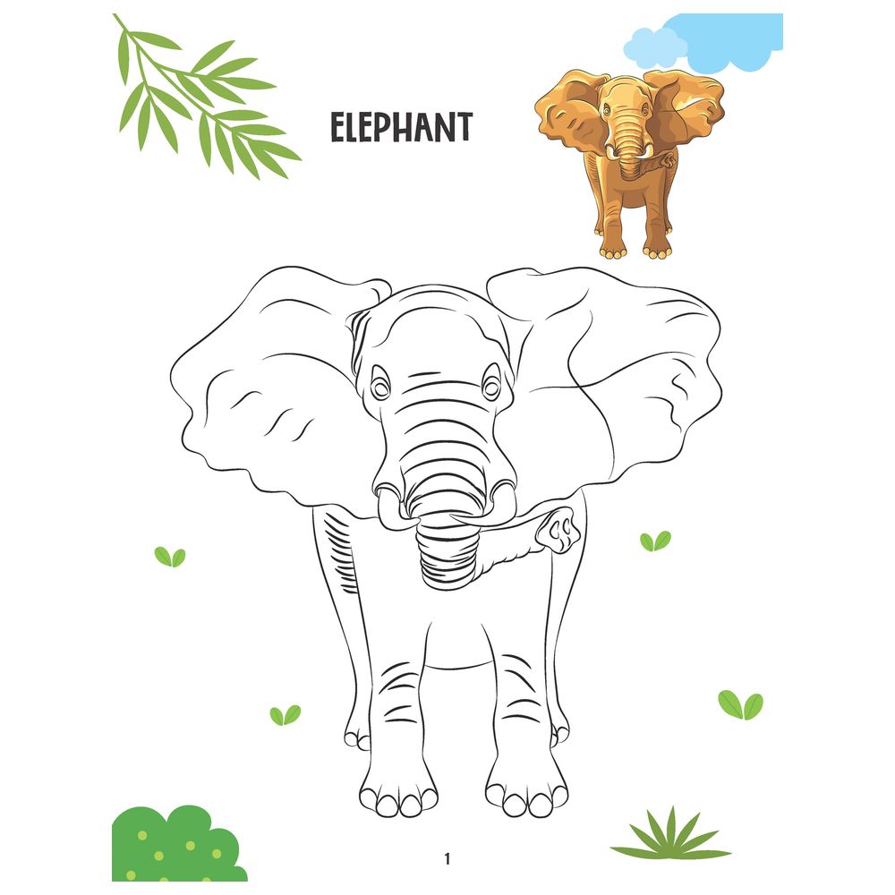Creative Colouring Book - Animals