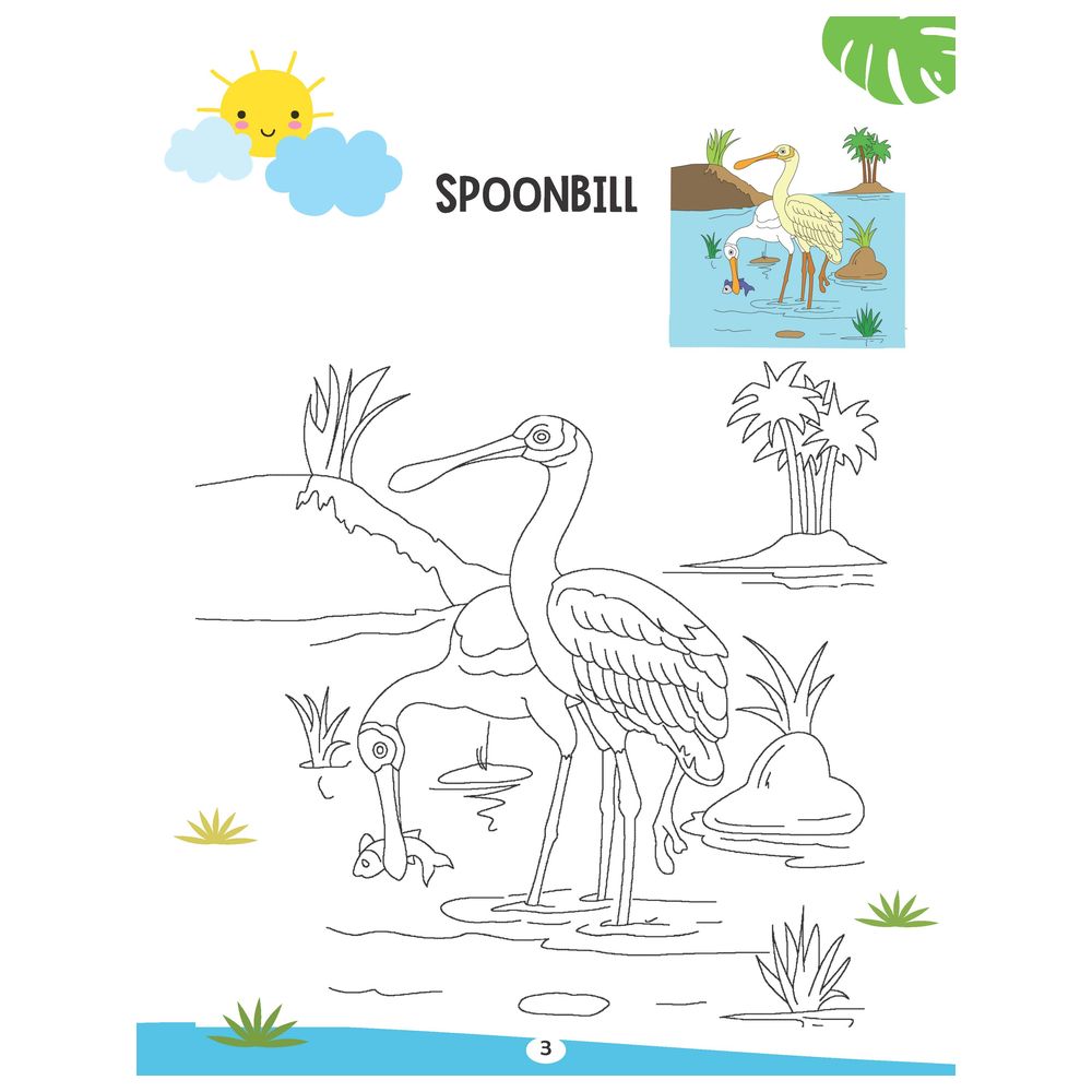 Creative Colouring Book - Water Animals