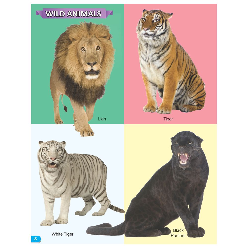 كتاب - My Book Of 101 Animals