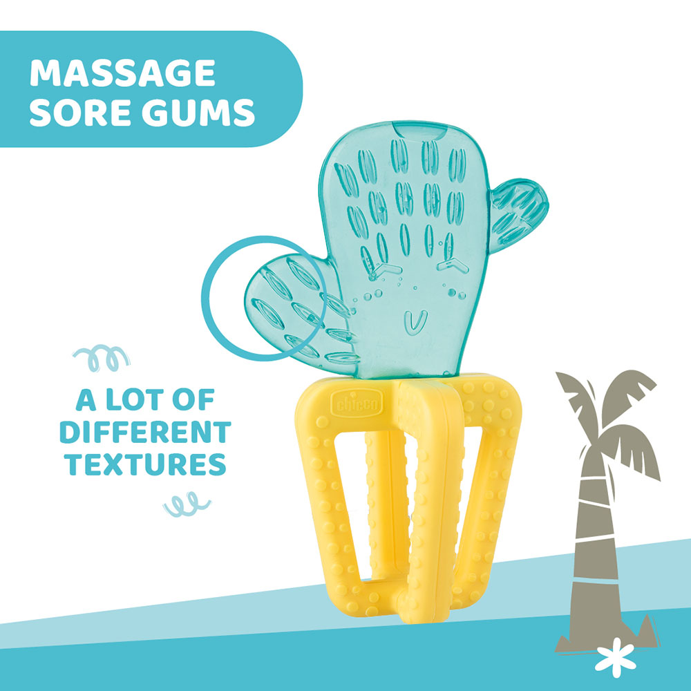 شيكو - عضاضة مهدئة