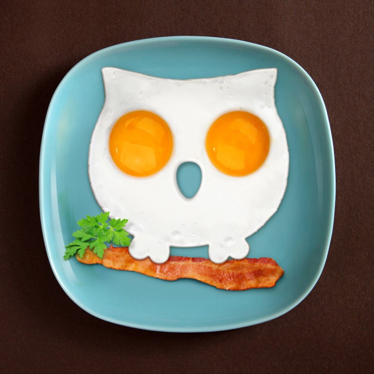Fred Funny Side Up-Owl - Egg Corral