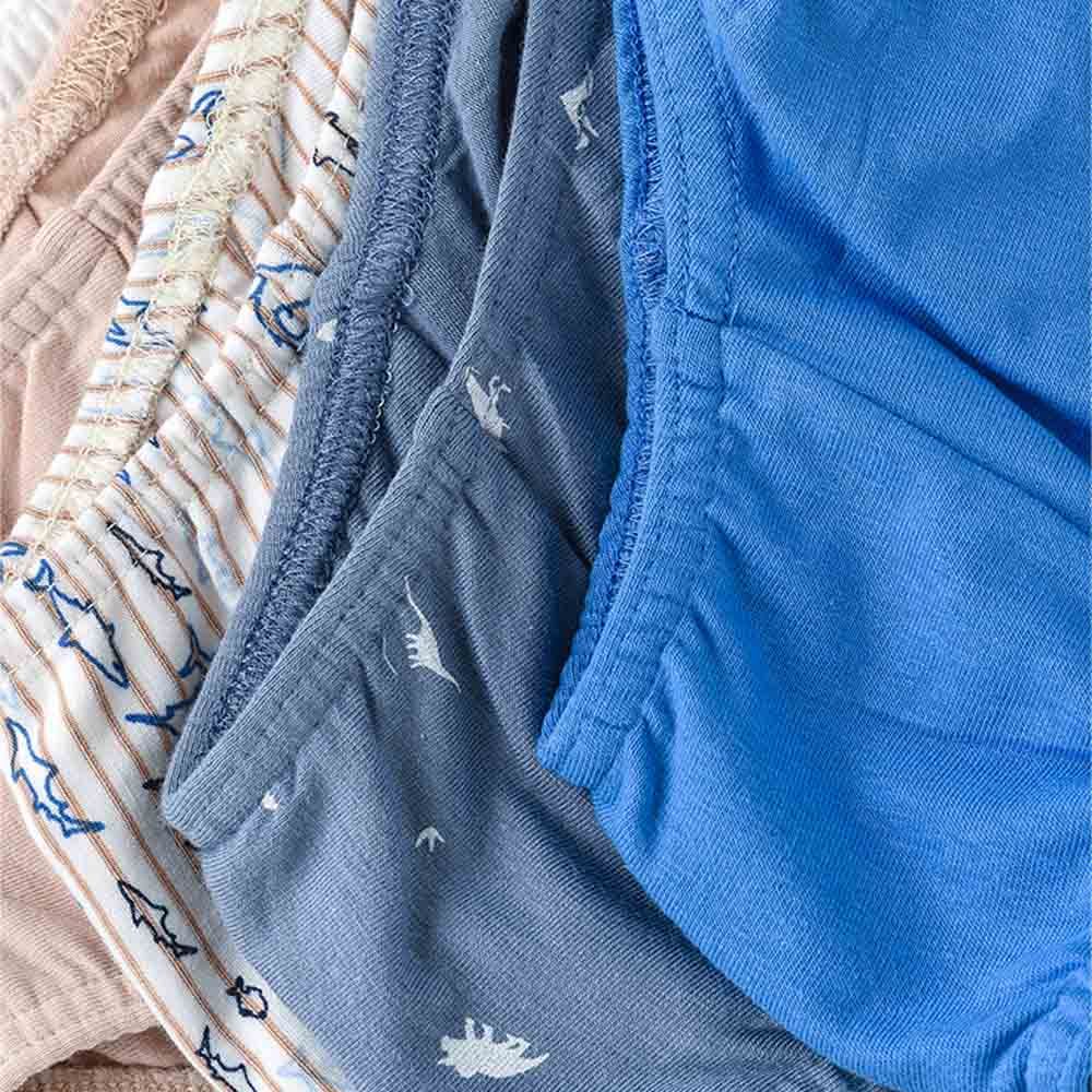 Jam - 5pc-Set - Boy's Soft & Comfortable Briefs - Multicolor