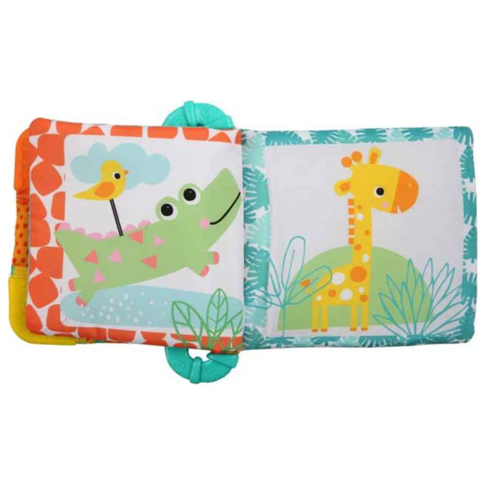 Bright Starts - Teethe & Read