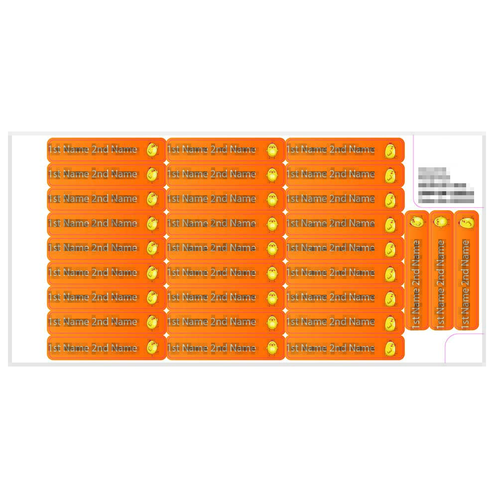 Ladybug Labels - Personalized Iron On Labels - Dancing Chicken - 50pcs