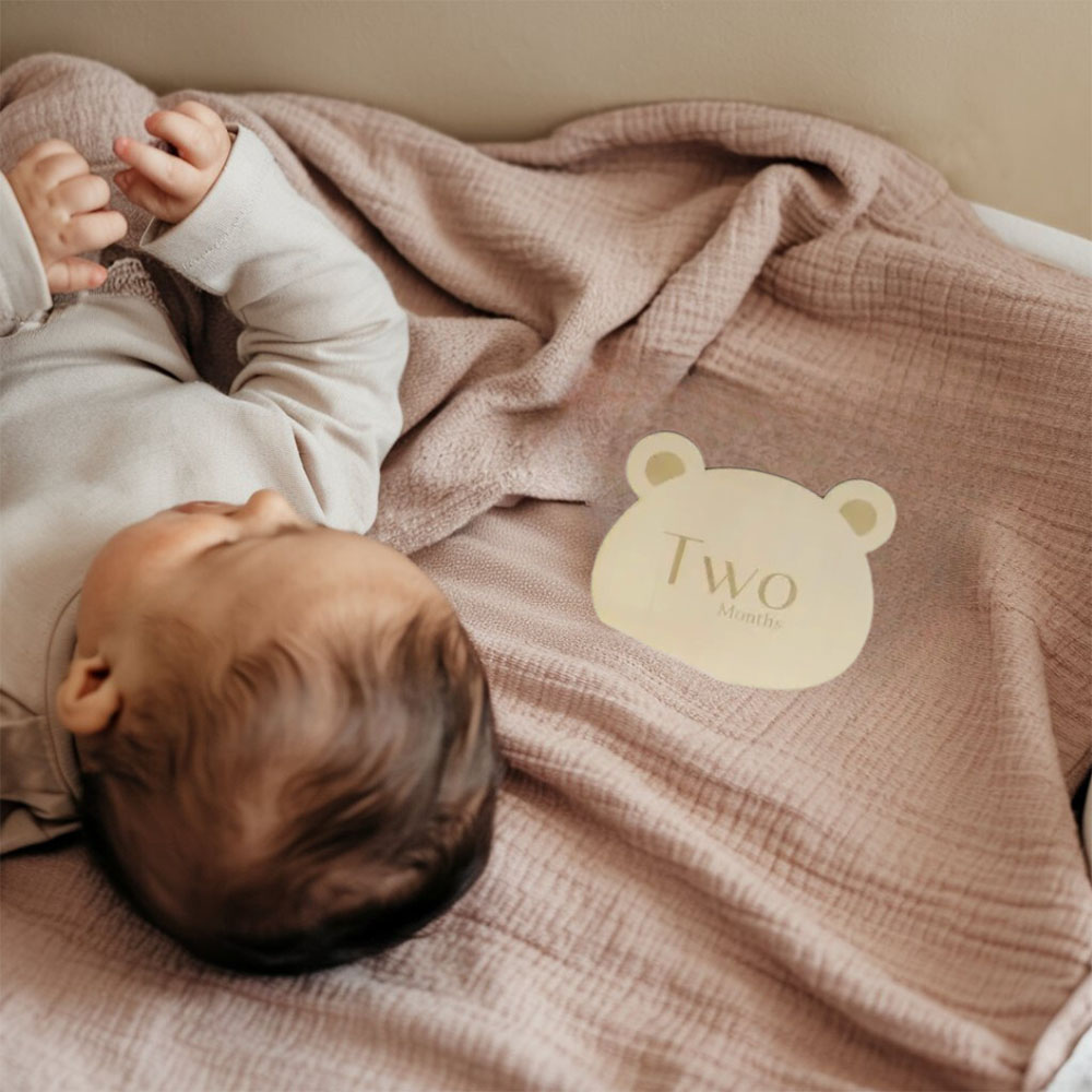 Mommy's Charms - Milestone Cards - Teddy - 12 Pcs