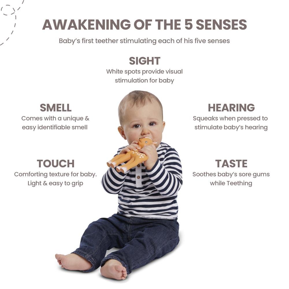 صوفي الزرافة - دمية صغيرة الغزال فانفان