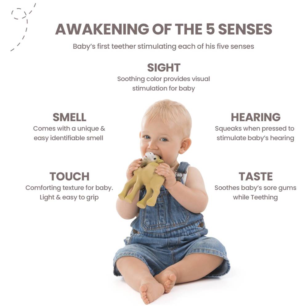 Sophie La Girafe Il Etait Une Fois Al'Thir