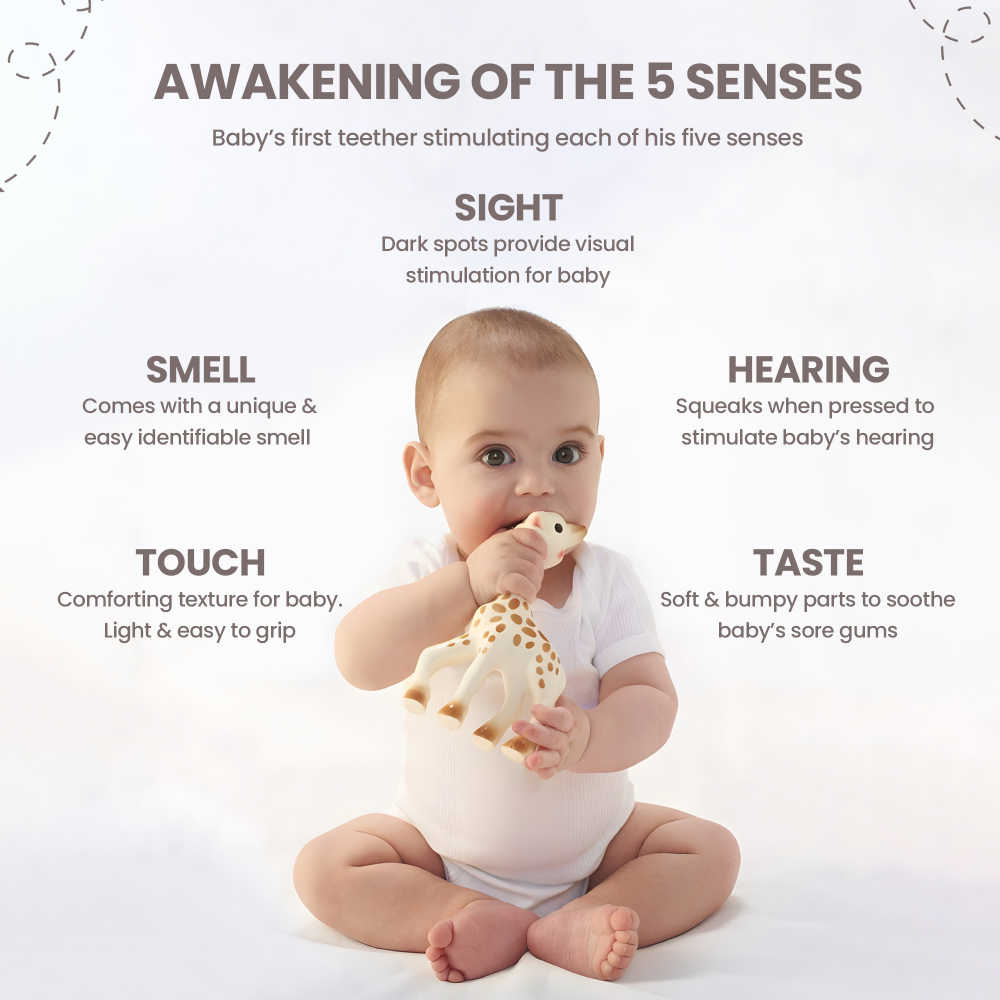 صوفي الزرافة مجموعة ألعاب كلاسيكية 4 صوفي الزرافة