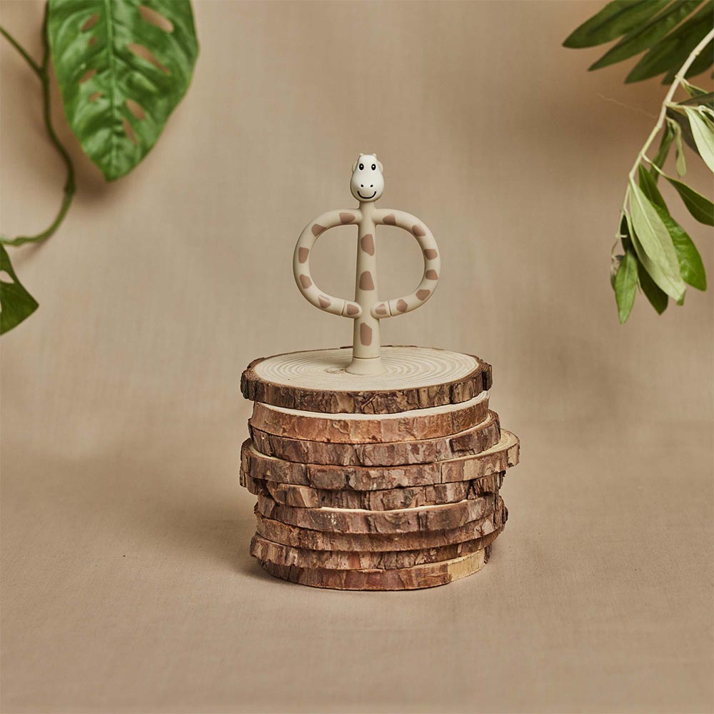 ماتش بوكس مونكي - فرشاة أسنان تدريبية - زرافة