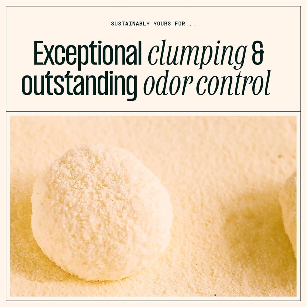 سيستانبلي يورز- رمل لفضلات القطط- لارج- 5.9 كلغ