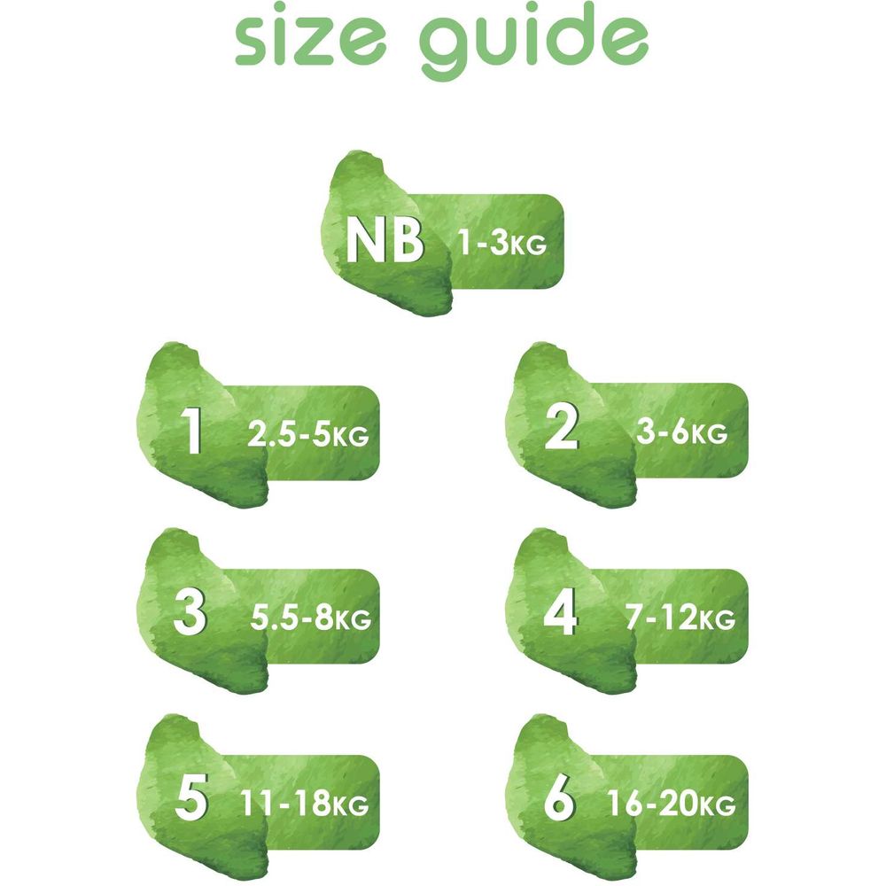 Pure Born - 22pcs Size 5 Single Pack Nappy - Assorted