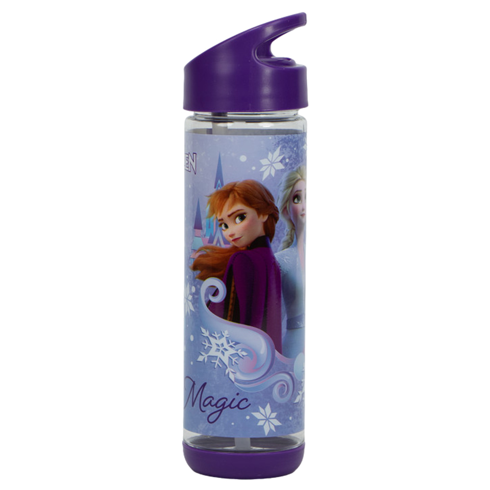 سونسي - زمزمية ماء ستانلس ستيل - ديزني فروزن - 500 مل