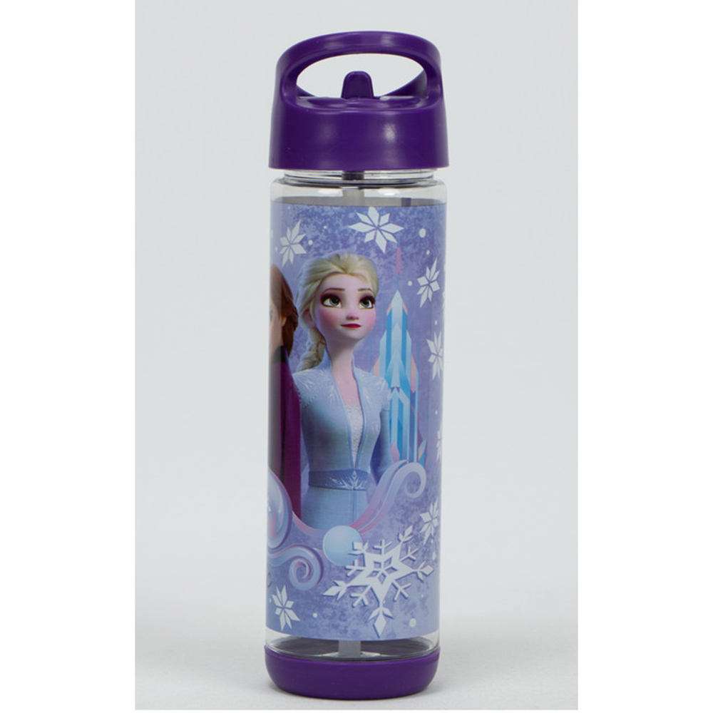 سونسي - زمزمية ماء ستانلس ستيل - ديزني فروزن - 500 مل