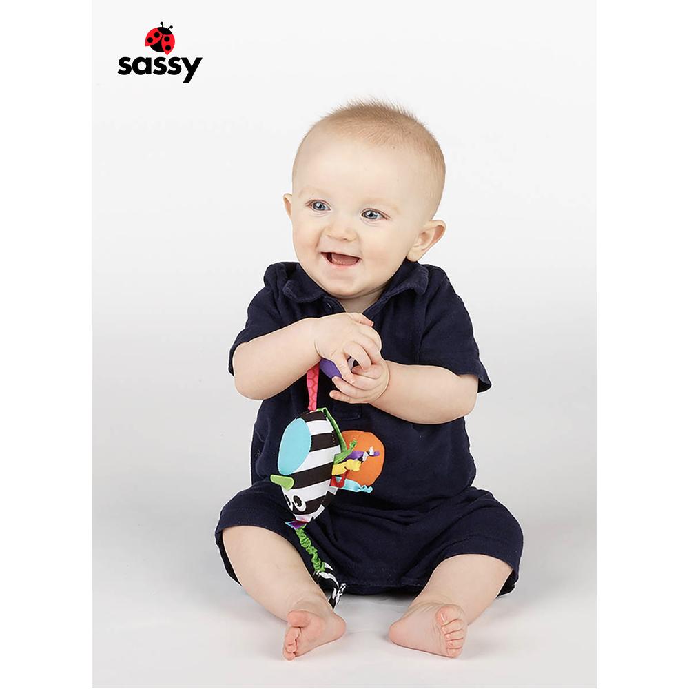 ساسي - بوبين بيريدي