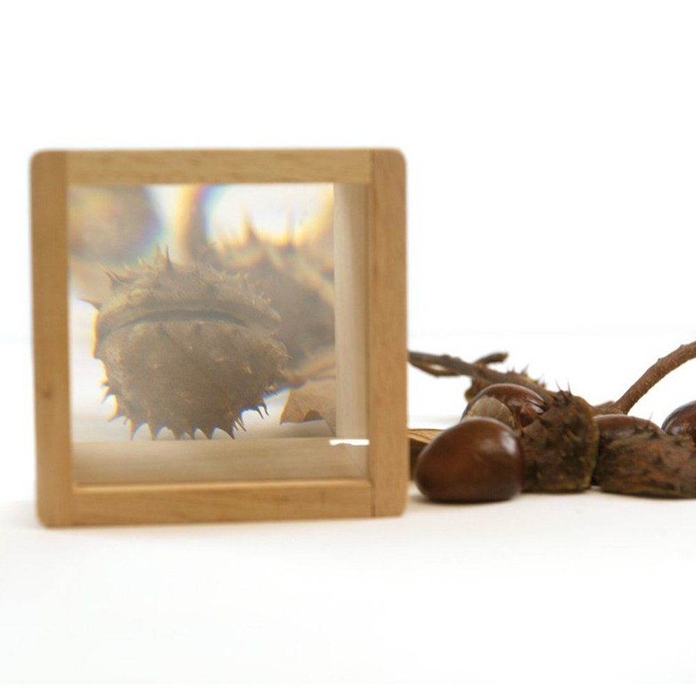 أندرو تويز - إطارات مكبرة - 6 قطع