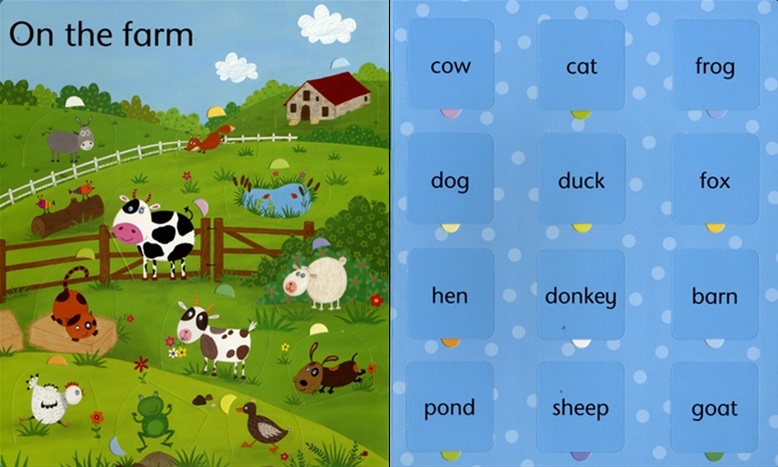 Usborne Books - Lift-the-flap word book