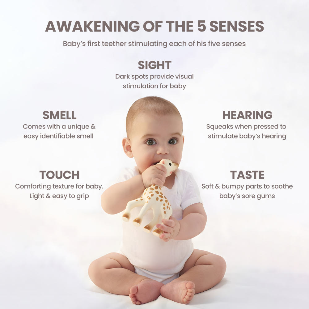 صوفي الزرافة - مجموعة الإهداء الكلاسيكية2 ألوان متنوعة