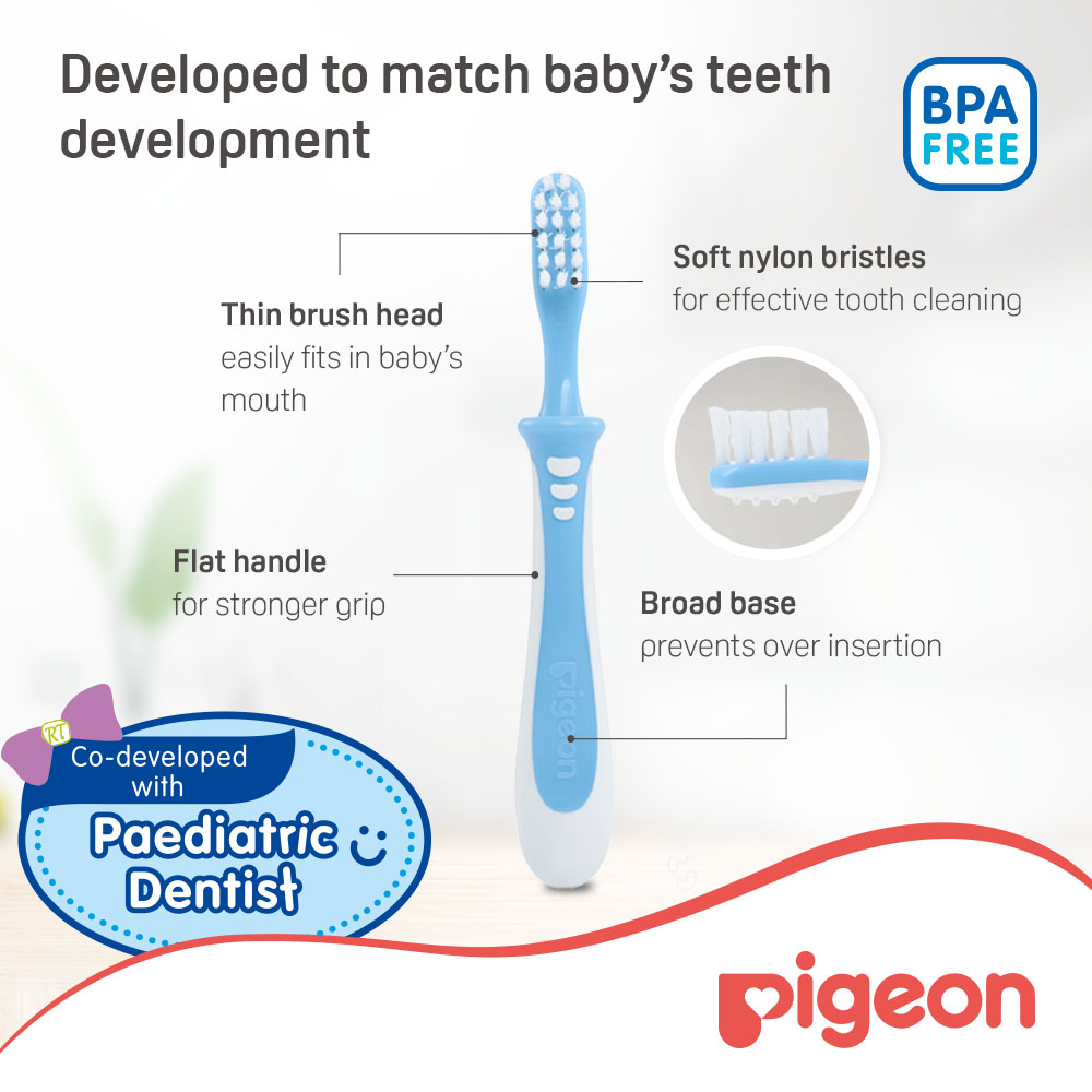 Pigeon - Training Toothbrush L-3 11788 - Blue