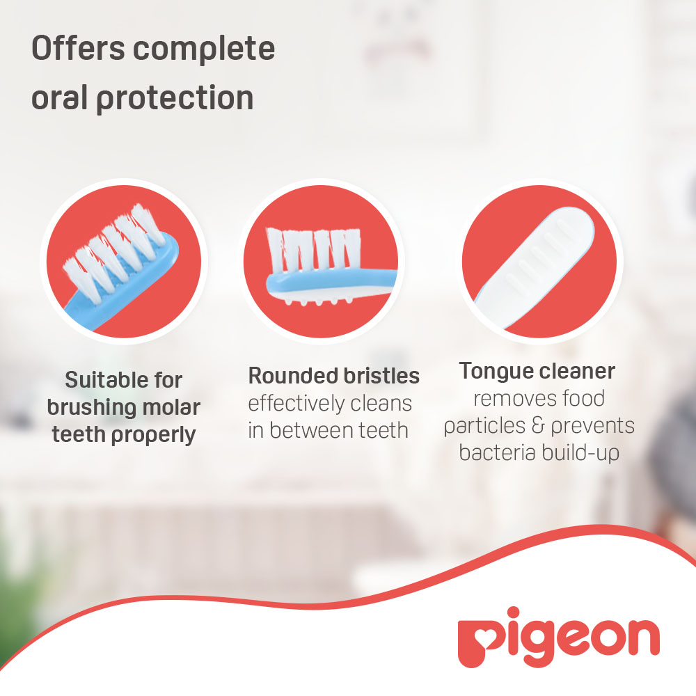 Pigeon - Training Toothbrush L-3 11788 - Blue