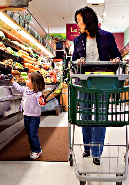 هولد أون هاندلز مقبض الخنفساء لمسك الأطفال