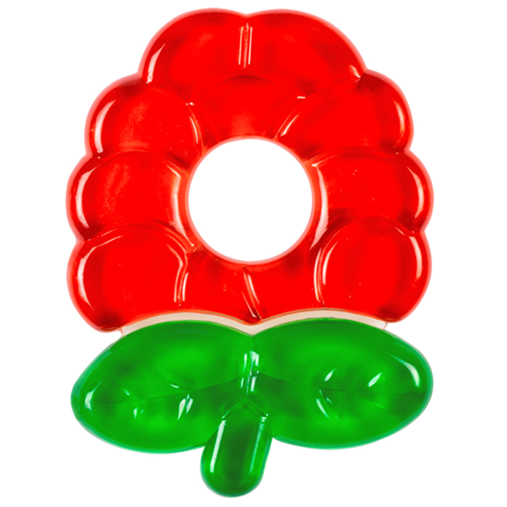 Purple Parrot - Baby Teether - Assorted 1Pc