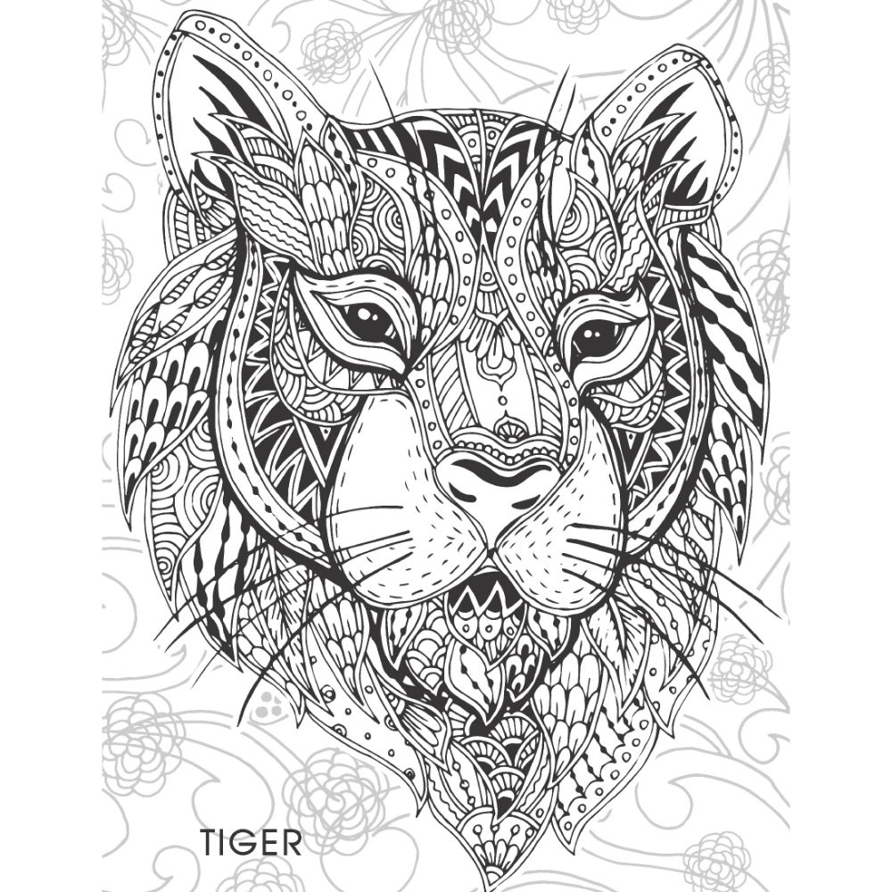 كتاب Creative Doodle Colouring - Animals & Birds