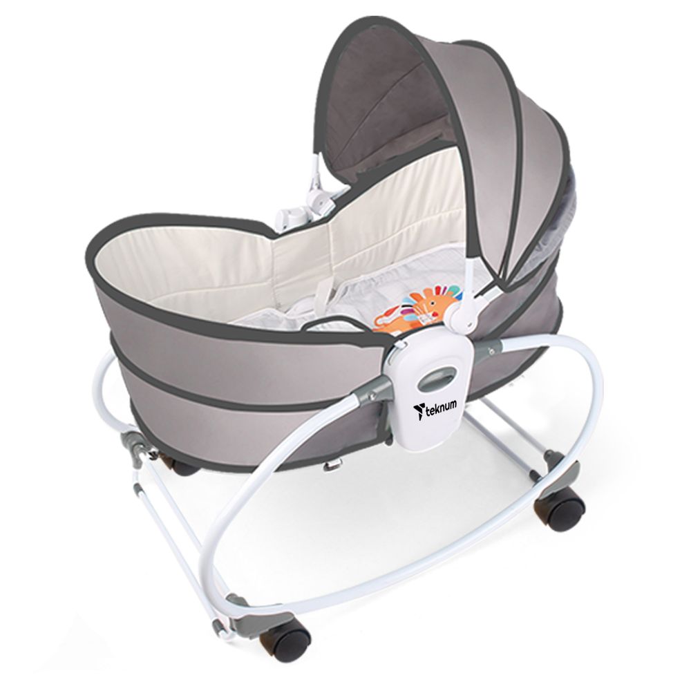 Teknum - 5-in-1 Cozy Rocker Bassinet with Awning & Mosquito Net - Grey