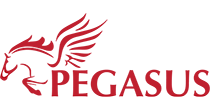 Pegasus