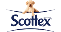 Scottex