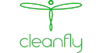 CLEANFLY