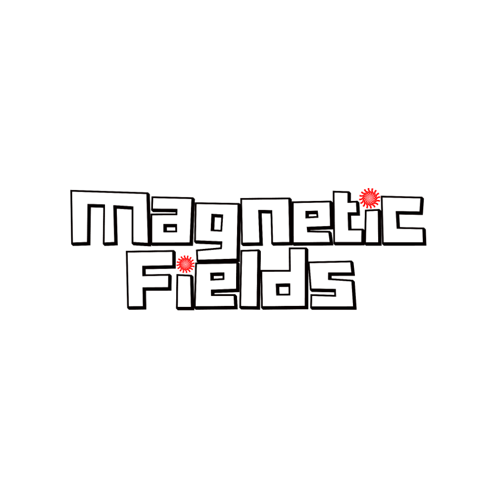 Magnetic Fields