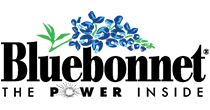 Bluebonnet Bluebonnet