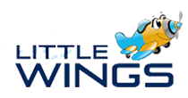 Little Wings