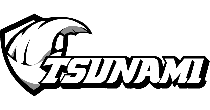 Tsunami