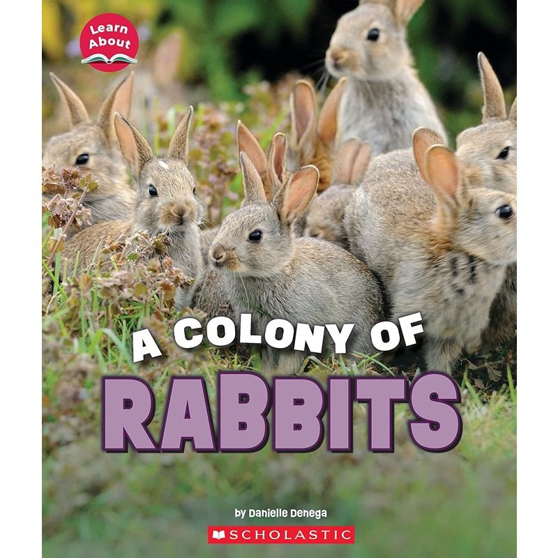 كتاب مستعمرة من الأرانب