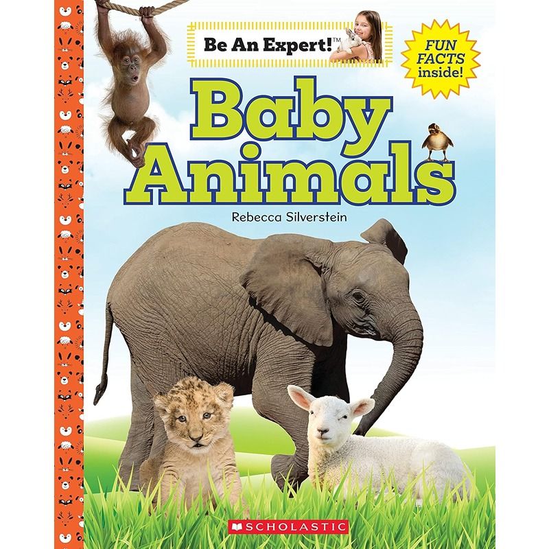 Baby Animals - be an Expert