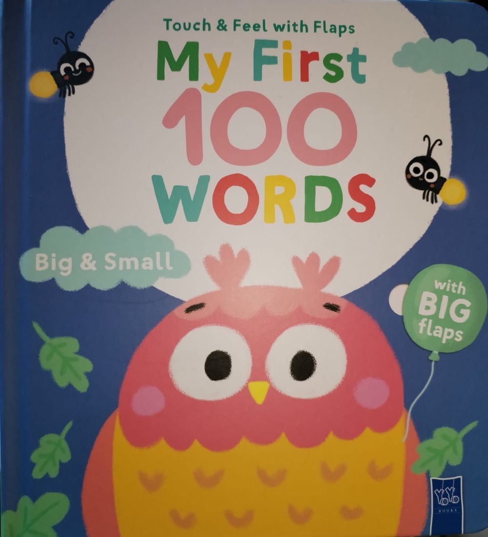Hat & Big Books - My First 100 Words Book