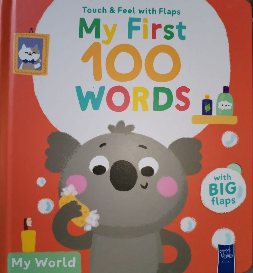Hat & Big Books - My First 100 Words Book - My World