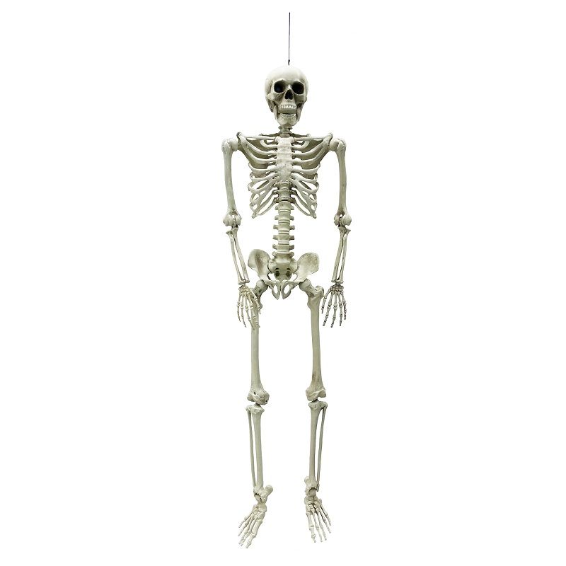 Party Magic - Halloween Hanging Skeleton - White