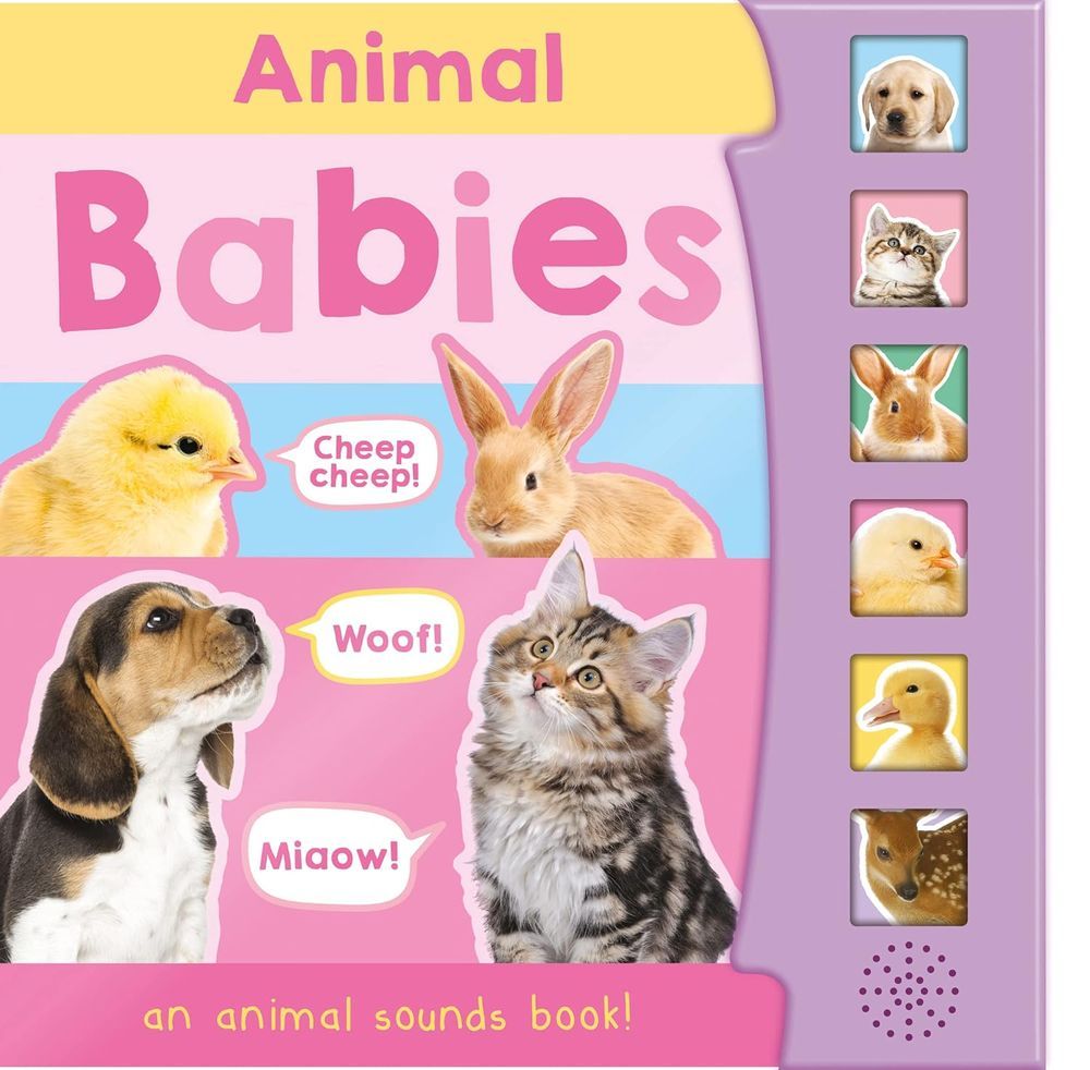 North Parade Publishing - 6 Button Sound Book - Animal Babies