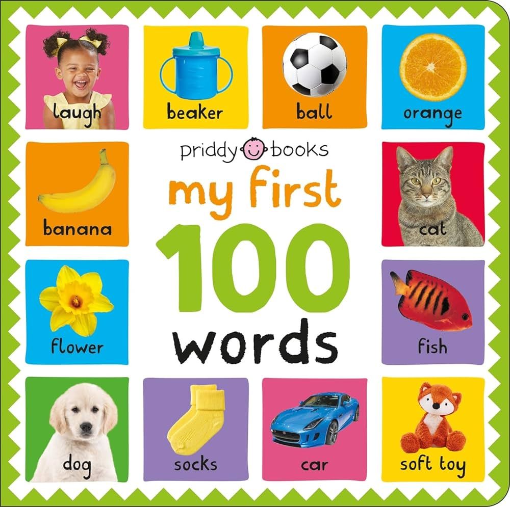 كتاب My First 100 Words