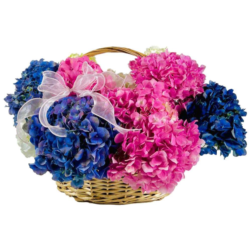 RR Luxury Flowers - Hydrangea Basket Flower Bouquet