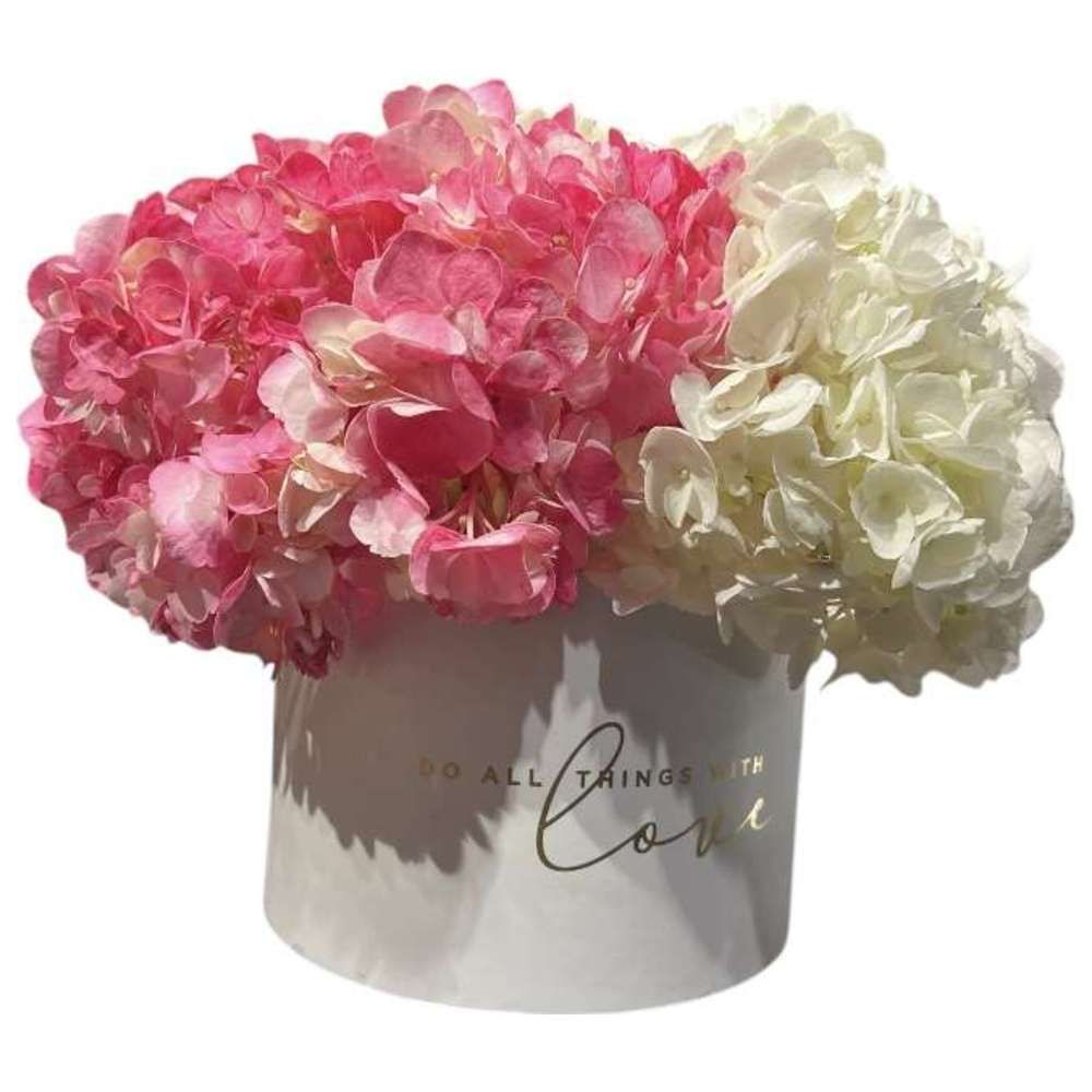 RR Luxury Flowers - Botanica Hydrangea Flower Bouquet - White/Pink