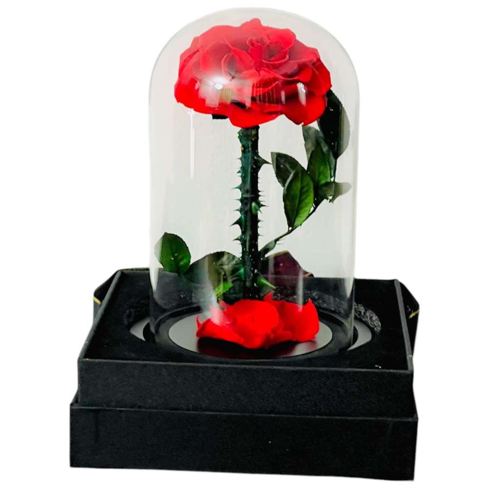 RR Luxury Flowers - Eternal Single Red Rose Flower