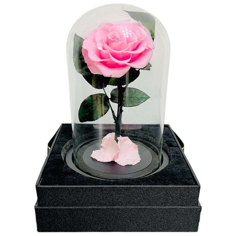 RR Luxury Flowers - Eternal Single Pink Rose Flower