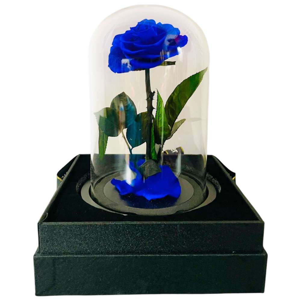 RR Luxury Flowers - Eternal Single Blue Rose Flower