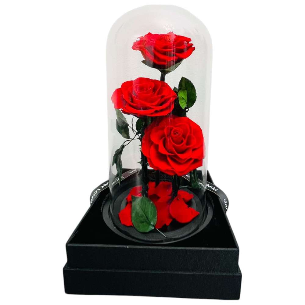 RR Luxury Flowers - Eternal 3 Heads Red Rose Flower